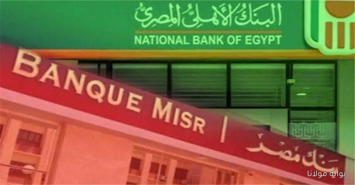 البنوك المصرية تخفض الفائدة على شهادات الادخار لجذب المستثمرين