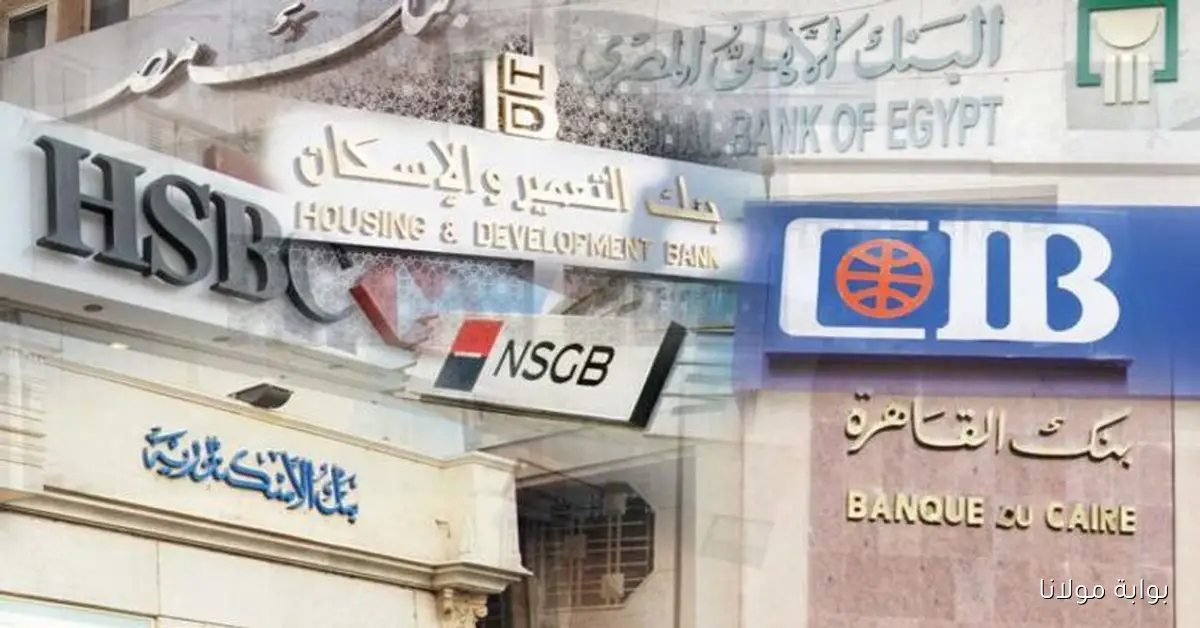“اعرف دلوقتي”.. أعلى عائد شهادات في البنوك المصرية 2025 بعد التحديث الجديد