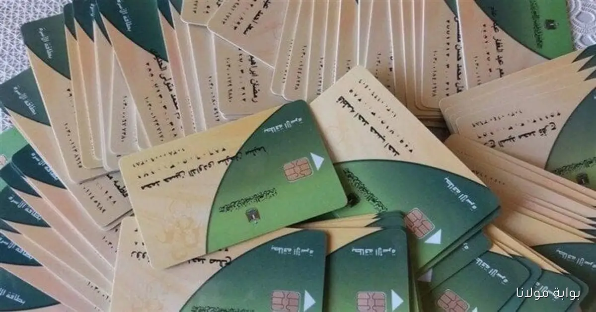 التموين تعلن الفئات المستحقة لإضافة المواليد على البطاقات بشكل رسمي