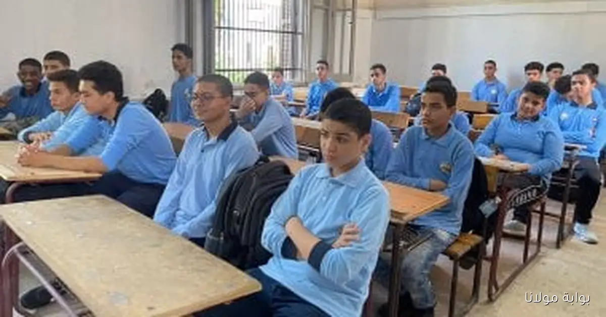 المديريات تضع معايير جديدة لاحتساب درجات البرمجة وعلوم الكمبيوتر للصفين الأول والثاني الثانوي