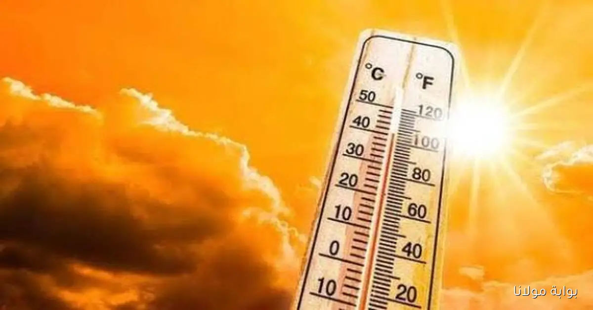 حالة الجو المصري.. طقس اليوم الجمعة 10 أكتوبر 2025 ودرجات الحرارة بالمحافظات