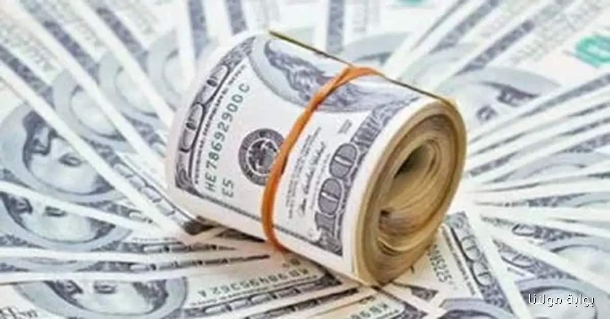 انخفاض سعر الدولار أمام الجنيه في ختام تعاملات الأربعاء 8 أكتوبر 2025