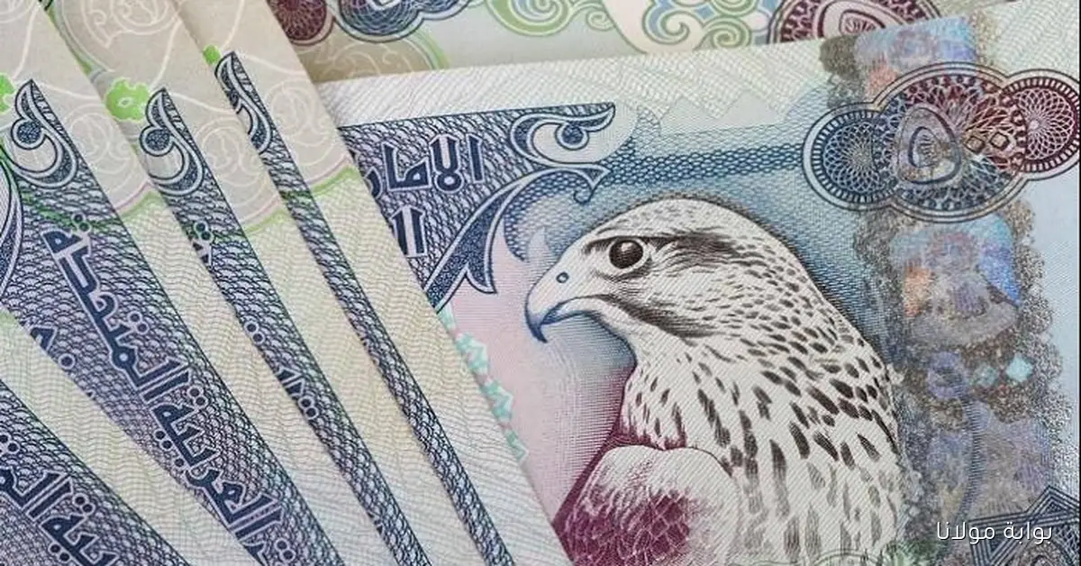انخفاض قيمة الدرهم الإماراتي في السوق المصري