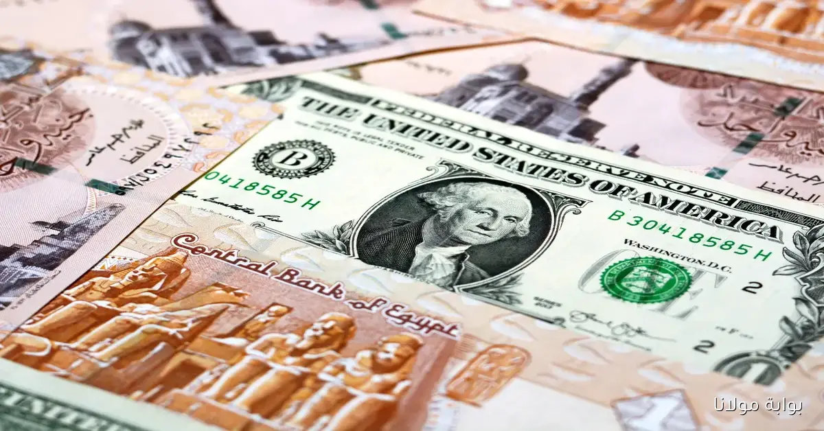 نزول يفجر السوق.. سعر الدولار مقابل الجنيه اليوم الاثنين 6 أكتوبر 2025 في البنوك المصرية
