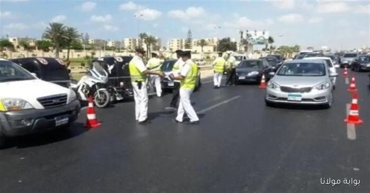 استعلام عن مخالفات المرور مجانًا بالرقم القومي وسدادها عبر الإنترنت