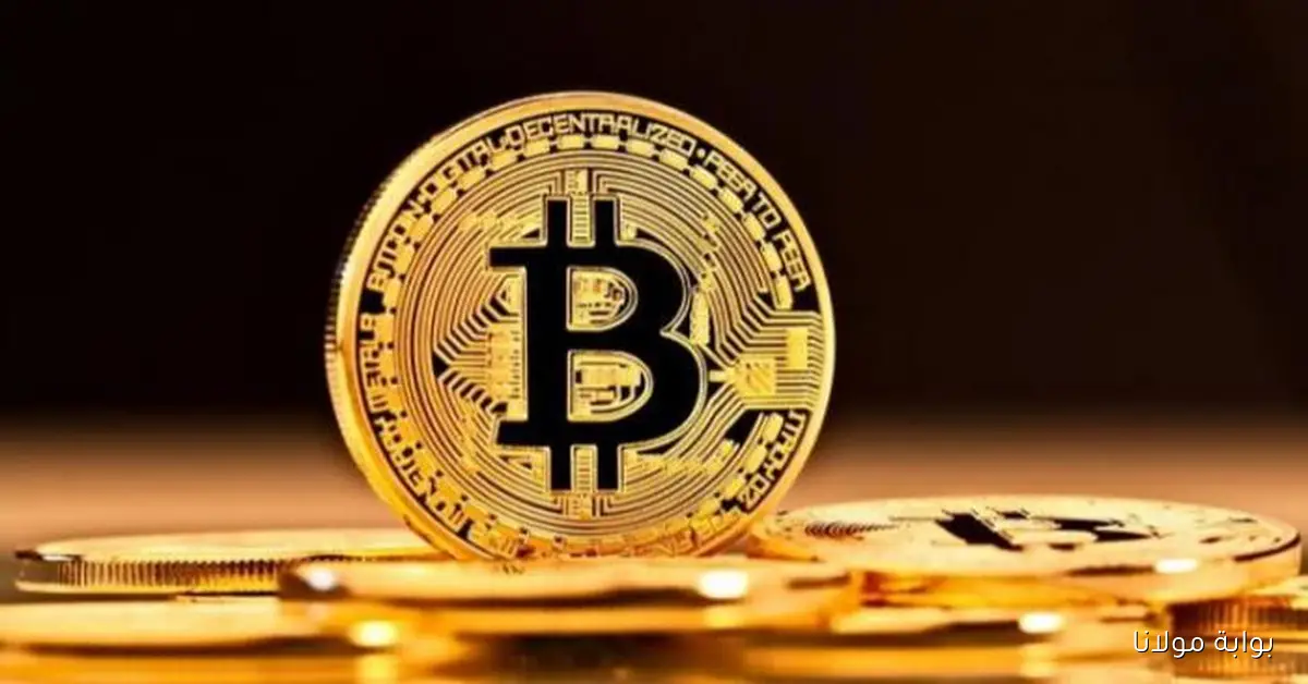 بيتكوين تتجاوز أمازون وتحقق المركز السابع كأكبر أصل عالمي