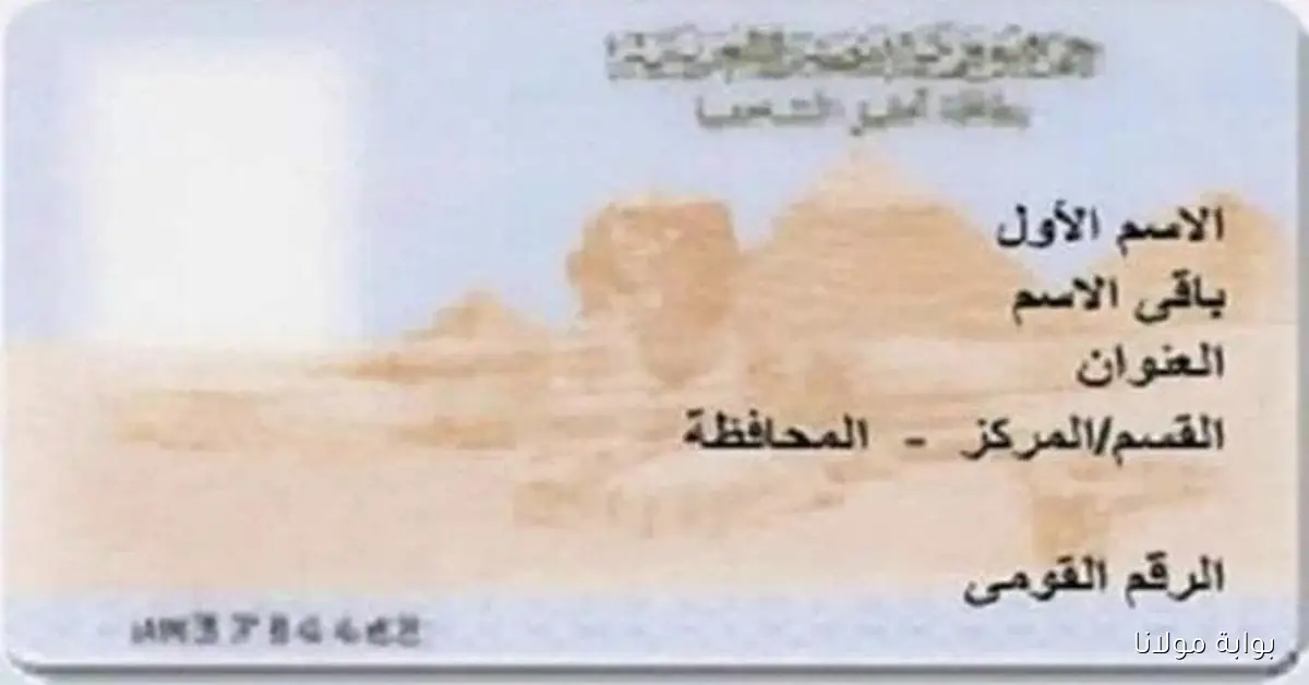 تجديد بطاقة الرقم القومي أونلاين في 2025 بطريقة سهلة ومبسطة مع تفاصيل الرسوم المطلوبة