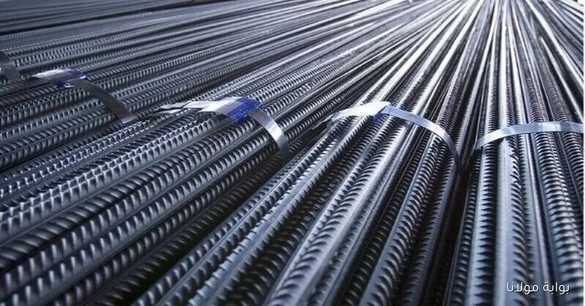 تحديث أسعار الحديد في الأسواق المحلية والعالمية ليوم الخميس 9 أكتوبر 2025
