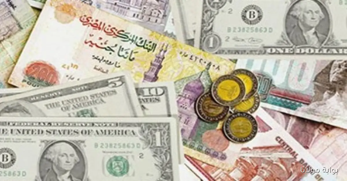 تحديث أسعار العملات العربية في مصر ليوم الثلاثاء 7 أكتوبر 2025