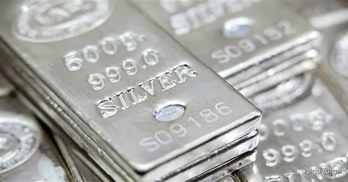 تحديث أسعار الفضة عيار 999 اليوم الأربعاء 8 أكتوبر 2025 في الأسواق