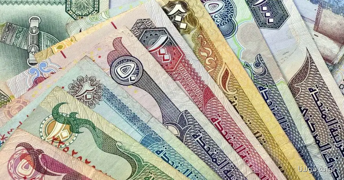 تحديثات أسعار العملات العربية اليوم الاثنين 6 أكتوبر 2025