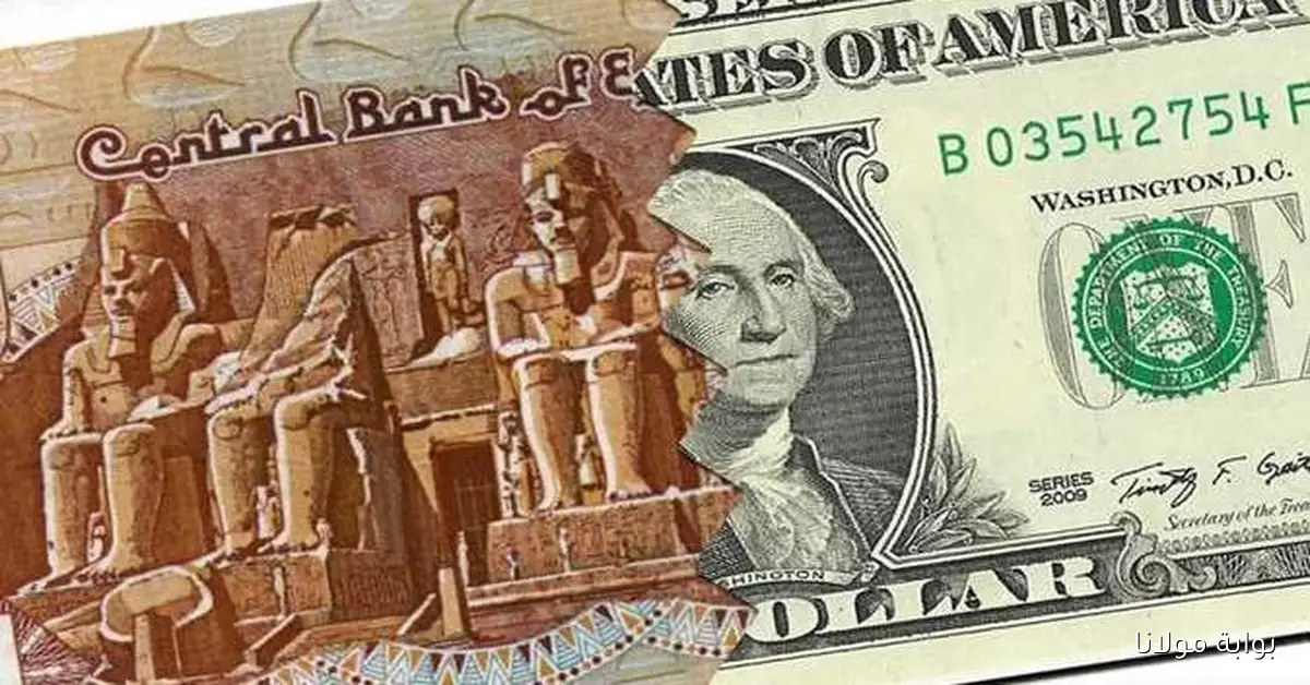تراجع سعر الدولار في ختام التعاملات مع أربعة بنوك