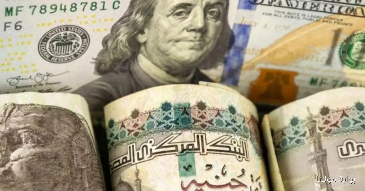 تراجع سعر الدولار في مصر اليوم الأربعاء 8 أكتوبر 2025 في البنوك الإسلامية والبنك المركزي