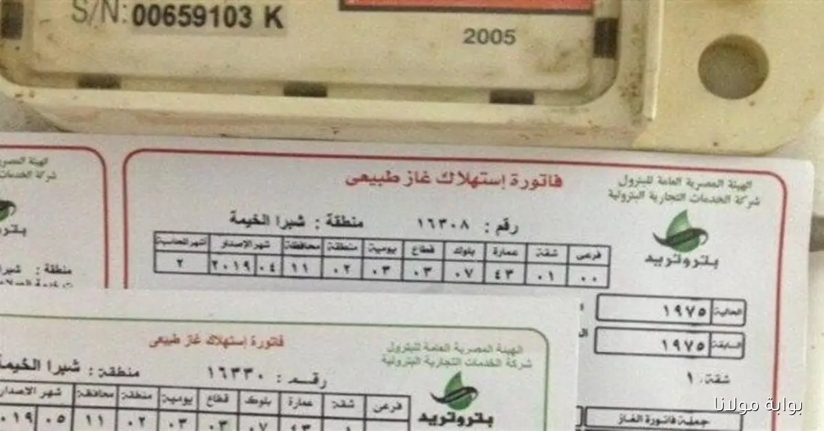 الآن تسجيل قراءة عداد الغاز بتروتريد لشهر أكتوبر 2025 بسهولة