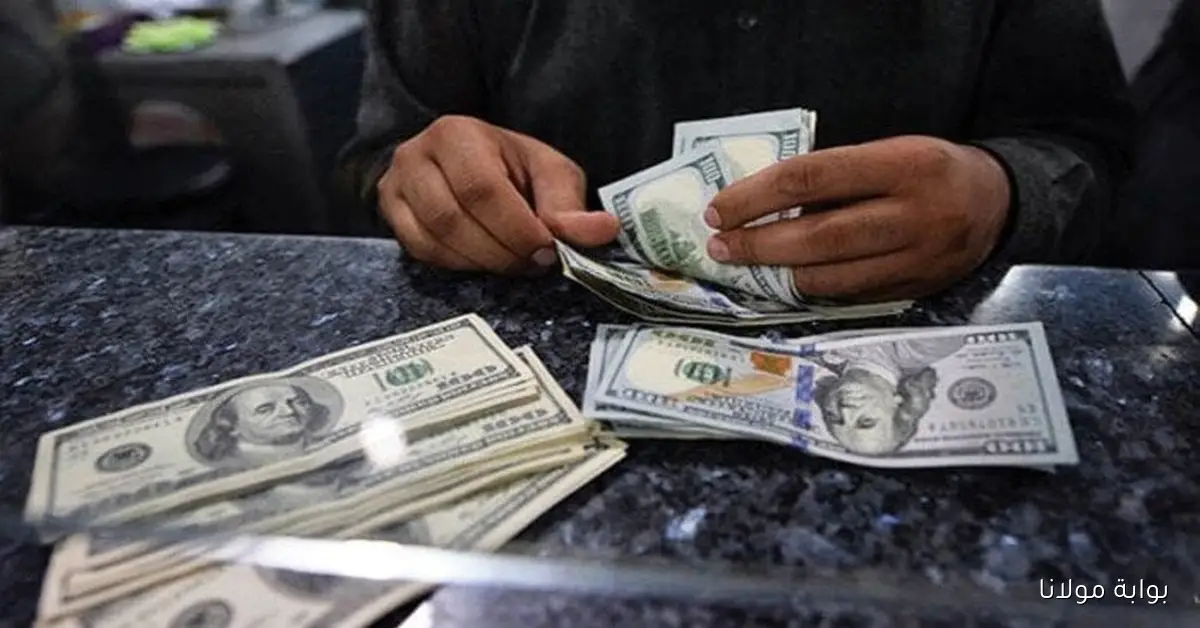 تطورات سعر الدولار في التعاملات المسائية اليوم الأربعاء 8 أكتوبر 2025