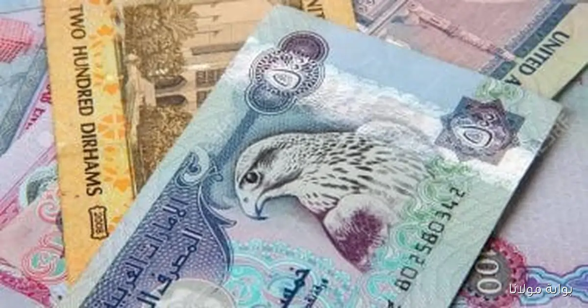 تعرّف على سعر الدرهم الإماراتي في البنوك المصرية اليوم السبت 4 أكتوبر 2025