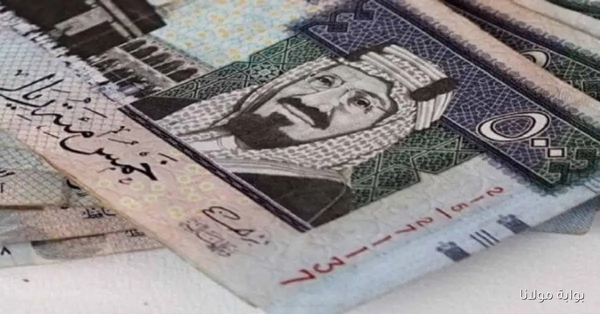 تعرّف على سعر الريال السعودي في مصر اليوم الأربعاء 8 أكتوبر 2025