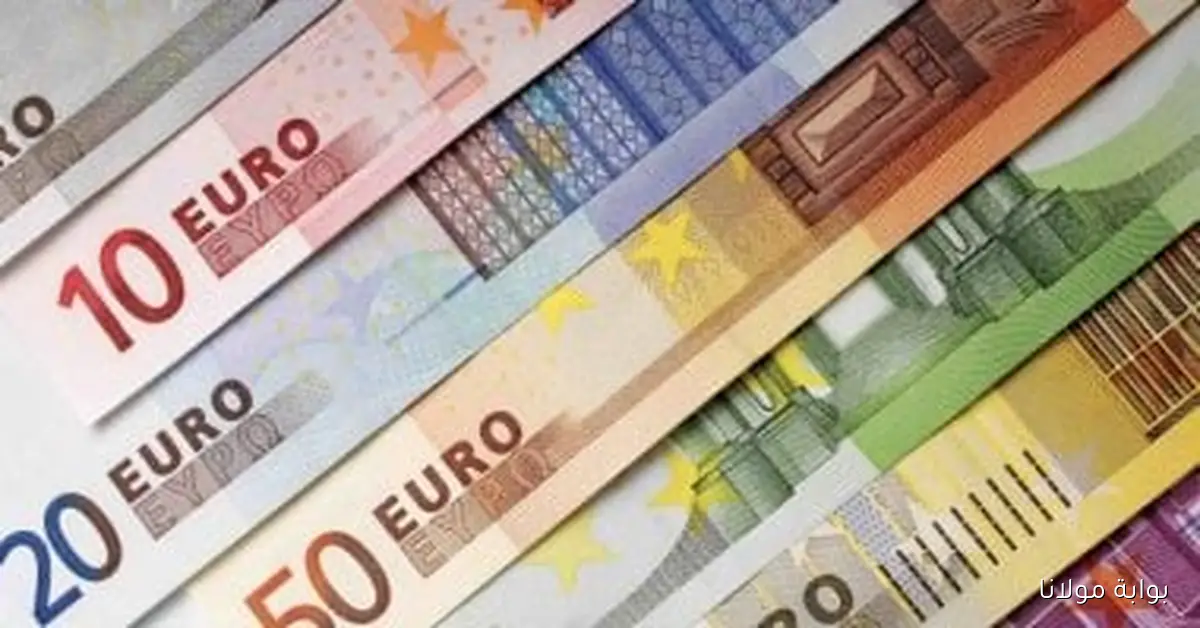 تعرّف على سعر اليورو مقابل الجنيه المصري اليوم الجمعة 3 أكتوبر 2025