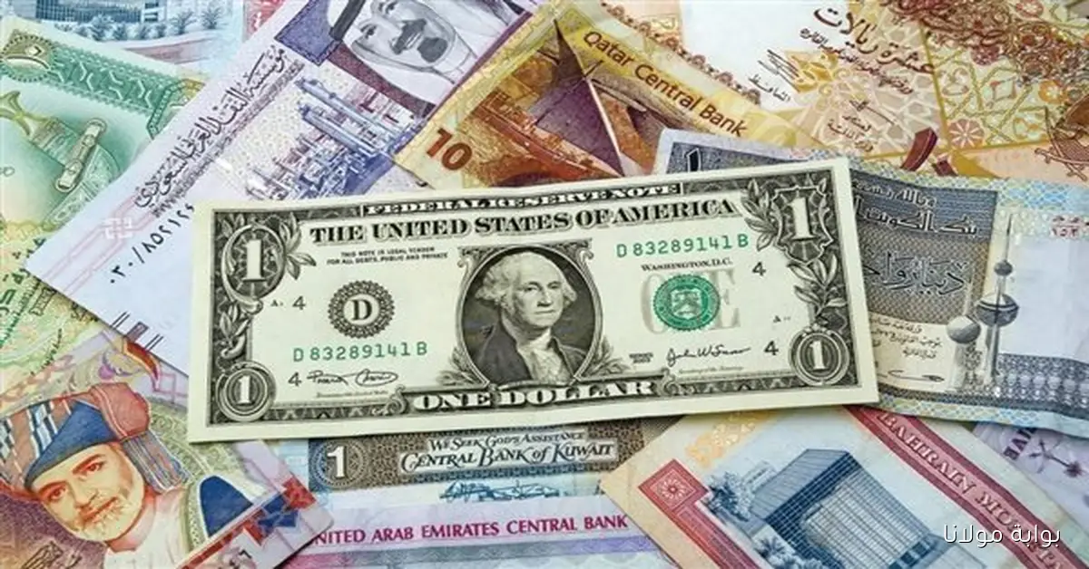 تقلبات حادة في أسعار العملات بالسوق السوداء المصرية 3 أكتوبر 2025 الدولار واليورو