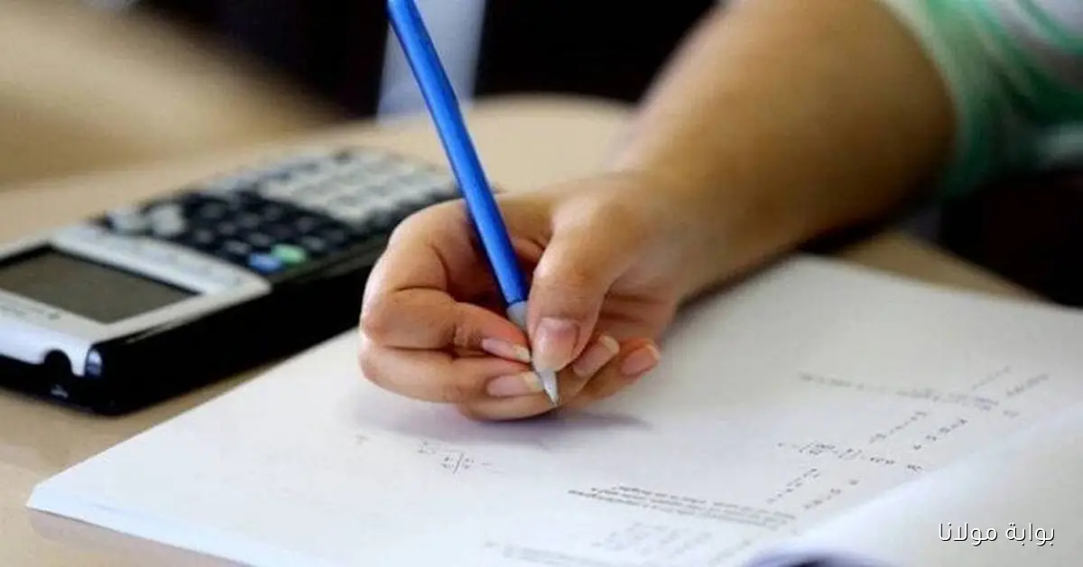 أولي وثانيه ثانوي وكل الصفوف.. رابط تقييمات وزارة التربية والتعليم 2026 الأسبوع الأول من الموقع وخطوات التحميل
