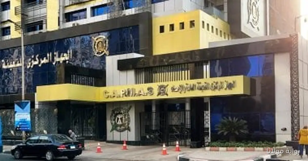توقعات بزيادة متوسط عمر الحياة في مصر إلى 69.4 سنة بحلول 2025