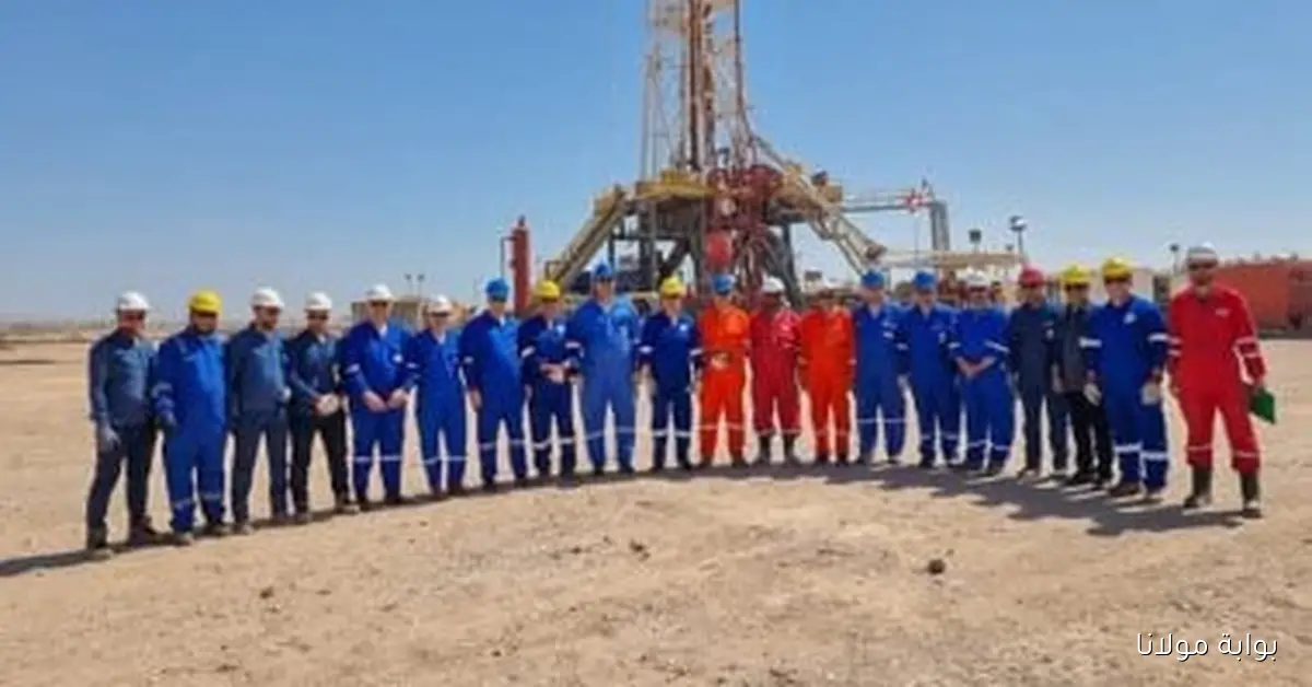 جنوب الوادي تنظم جولات ميدانية وورش عمل لتبادل الخبرات الفنية في مجالات الإنتاج