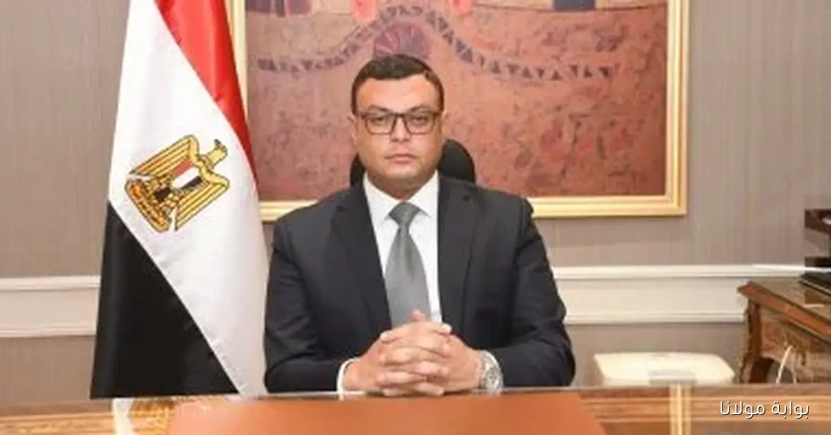 حجز 2513 وحدة سكنية جديدة في المرحلة الثانية من مبادرة “بيتك في مصر” يبدأ الآن