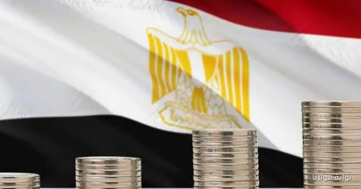 خبراء اقتصاد: الصكوك الدولية حل سحري لتقليل تكلفة الدين وجذب الاستثمارات