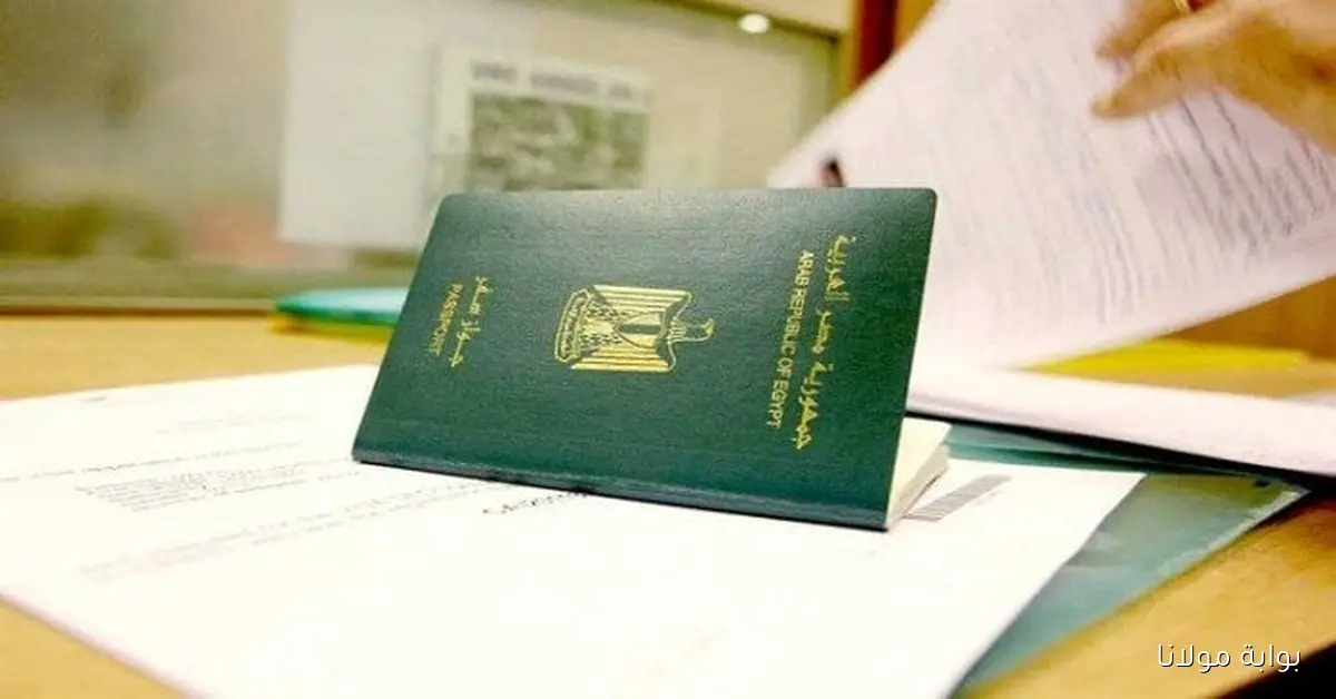 خطوات استخراج جواز السفر أونلاين في مصر 2025 مع قائمة الأسعار الكاملة