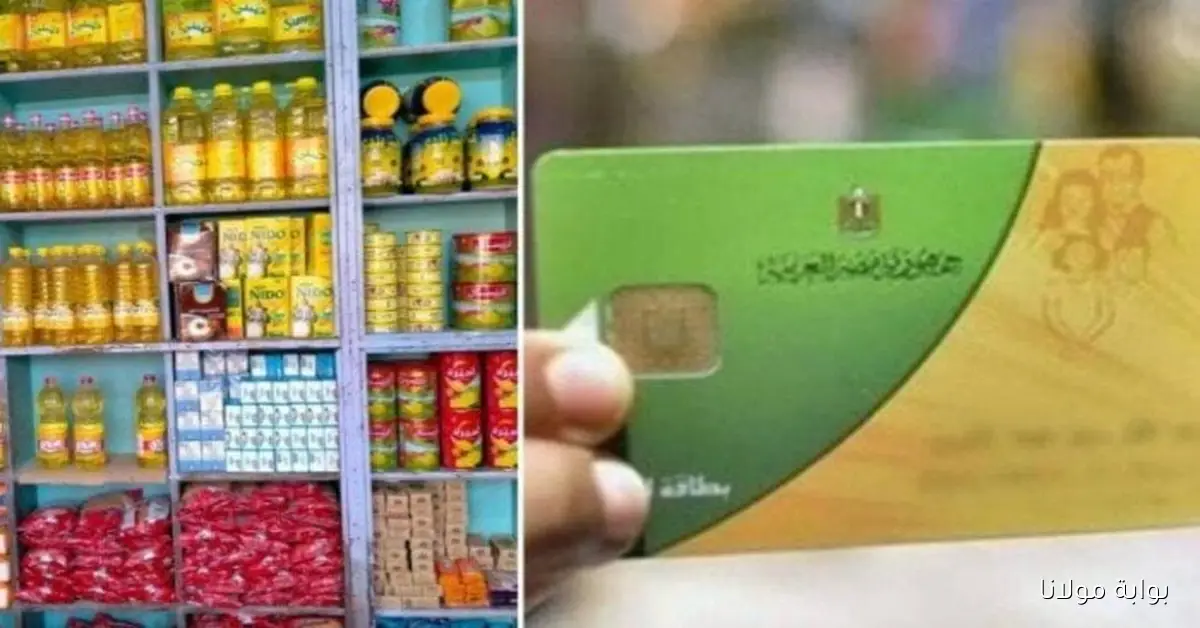 شروط إضافة المواليد في بطاقة التموين 2025 وكيفية التحديث للبيانات