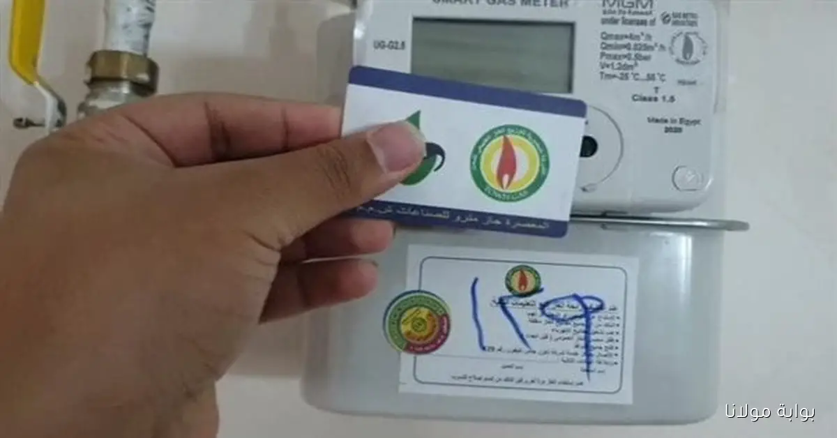 إستعلم عن الفاتوره.. سبع خطوات من أجل تسجيل قراءة عداد الغاز بتروتريد 2025