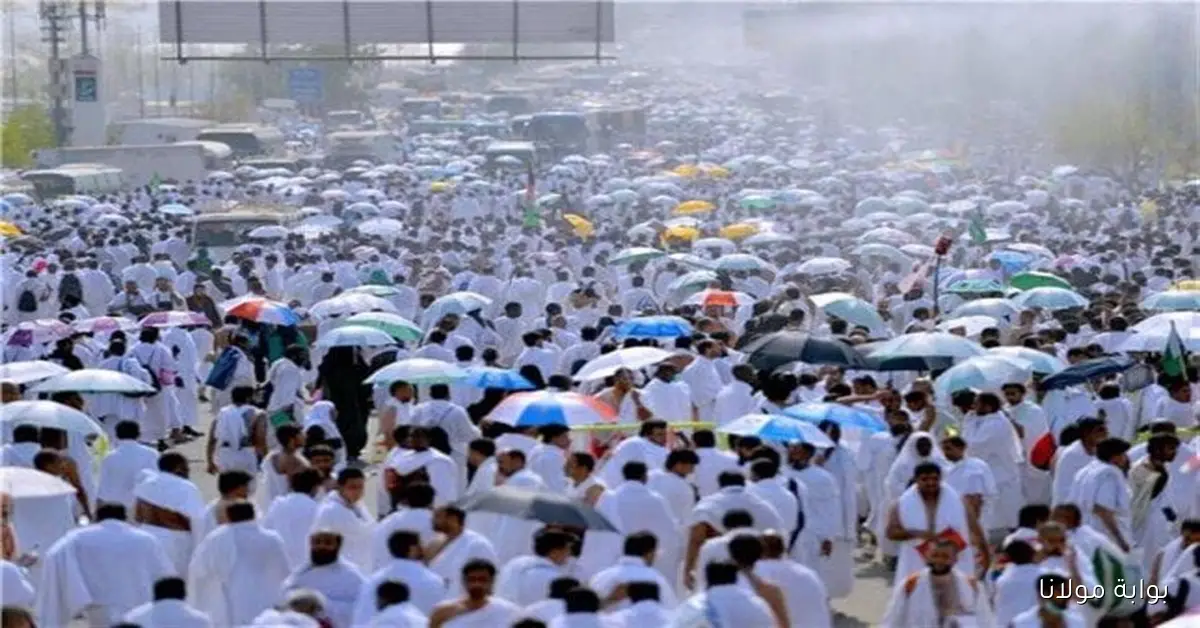 خطوات سهلة للتقديم في حج القرعة 2026 مع وزارة الداخلية.. تعرف على المواعيد والأوراق اللازمة