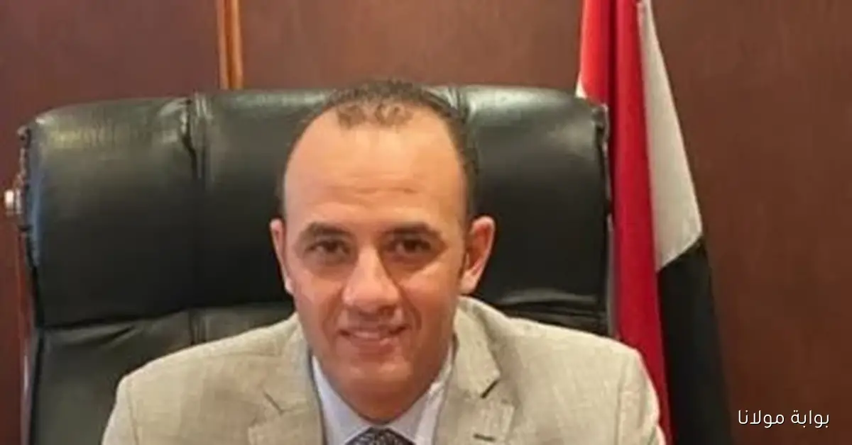 رئيس شعبة الدواجن يثمن جهود الدولة في تعزيز استقرار الأسواق وزيادة الإنتاج