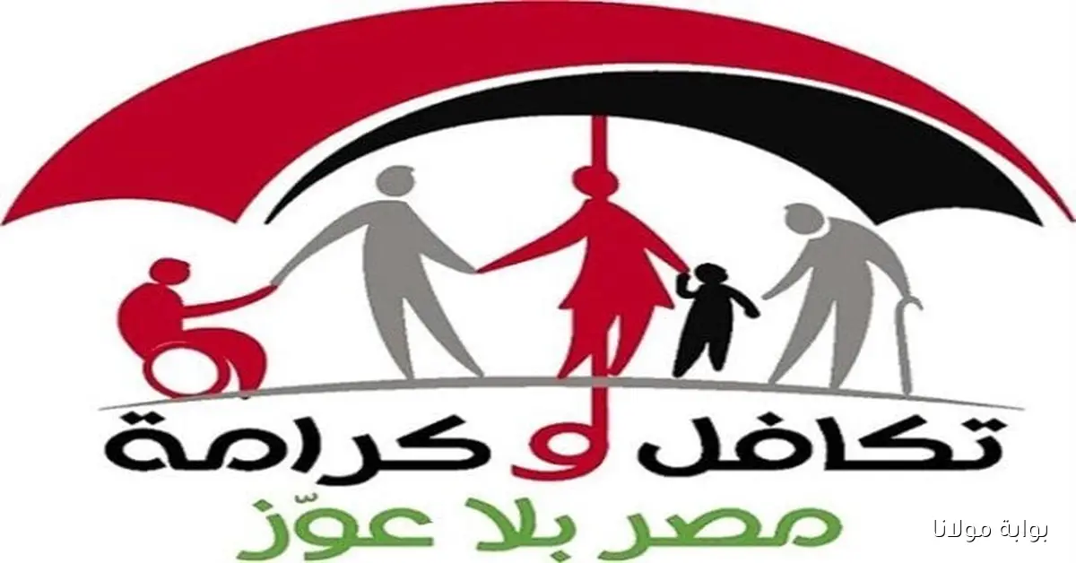 بالرقم القومي.. رابط وكيفية الاستعلام عن أسماء المقبولين الجدد في تكافل وكرامة 2025