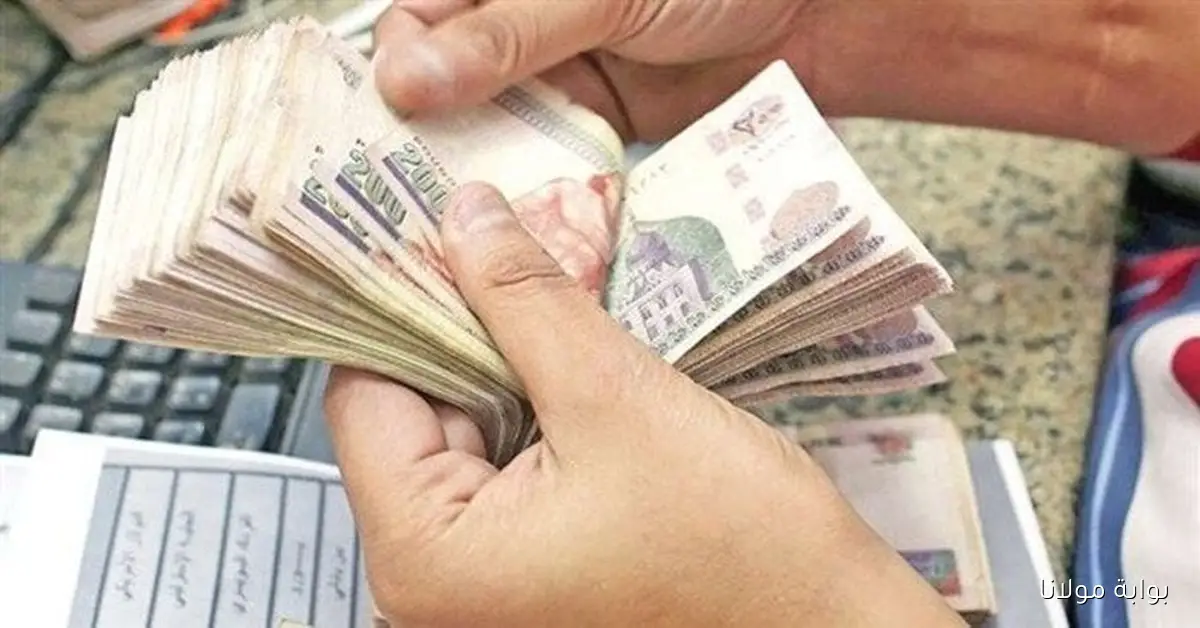 وزارة المالية تحدد موعد صرف مرتبات شهر أكتوبر بعد التبكير 2025