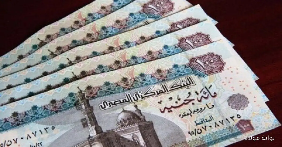 وزارة المالية تعلن.. صرف مرتبات أكتوبر 2025 وفق جدول الدرجات