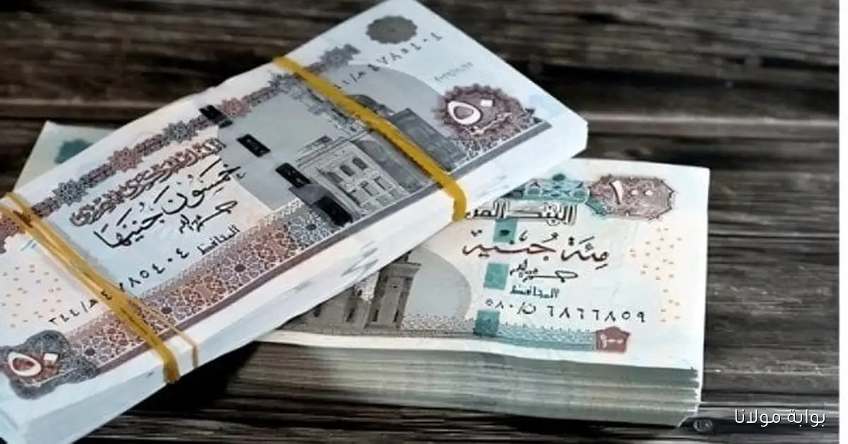 نقابة المعلمين تعلن موعد صرف المعاشات أكتوبر 2025