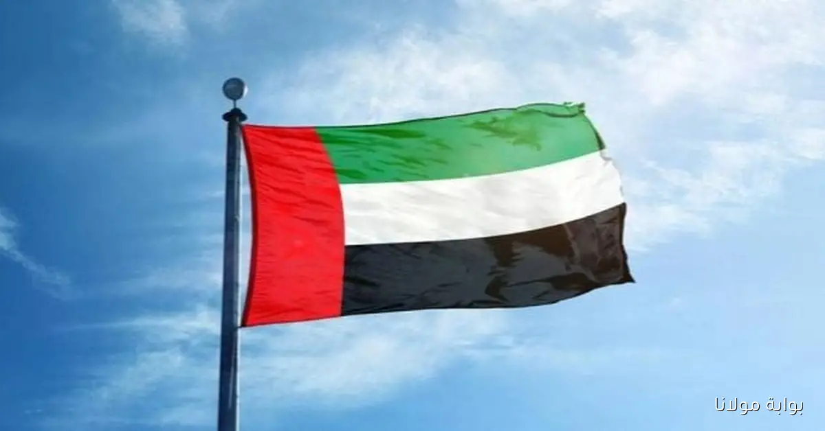 رصيد الذهب في “المركزي الإماراتي” يتجاوز 30 مليار درهم لأول مرة مع نهاية أغسطس