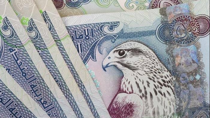 تراجع سعر الدرهم الإماراتي في مصر
