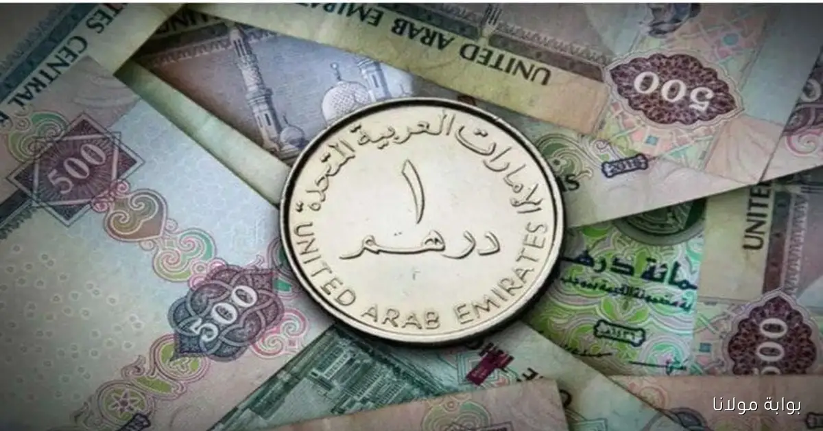 سعر الدرهم الاماراتي في مصر مقابل الجنيه اليوم الخميس 2 أكتوبر 2025
