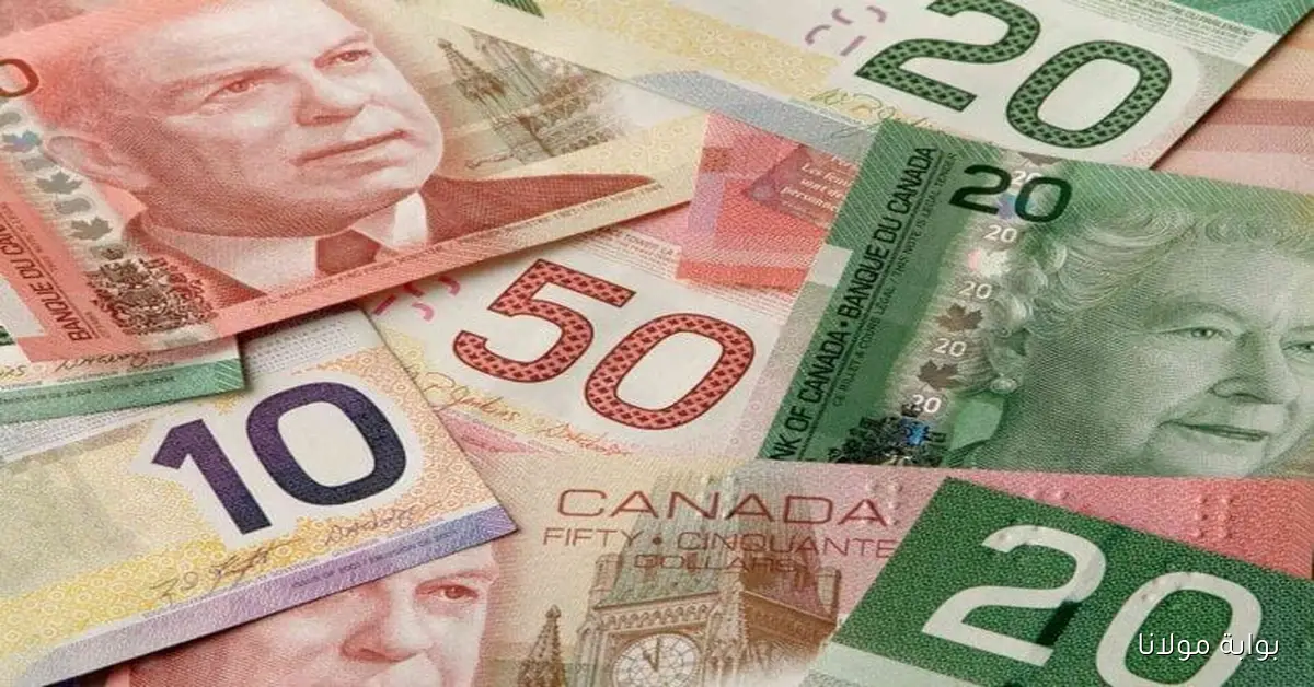 سعر الدولار الكندي في مصر اليوم الأحد 5 أكتوبر 2025