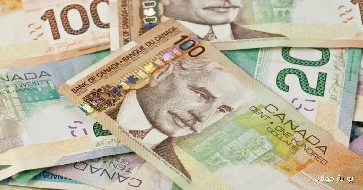 سعر الدولار الكندي مقابل الجنيه في مصر اليوم الأربعاء 1 أكتوبر 2025 داخل البنوك