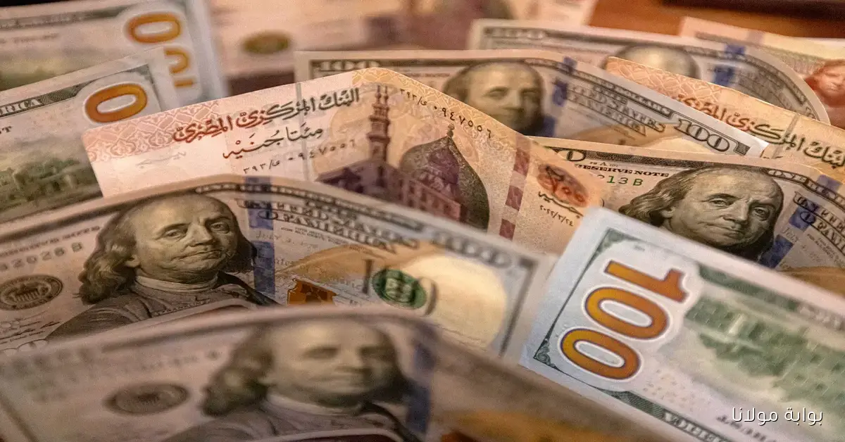 سعر الدولار اليوم 4 أكتوبر 2025 وتأثيره على الاقتصاد المصري في السوق المحلي