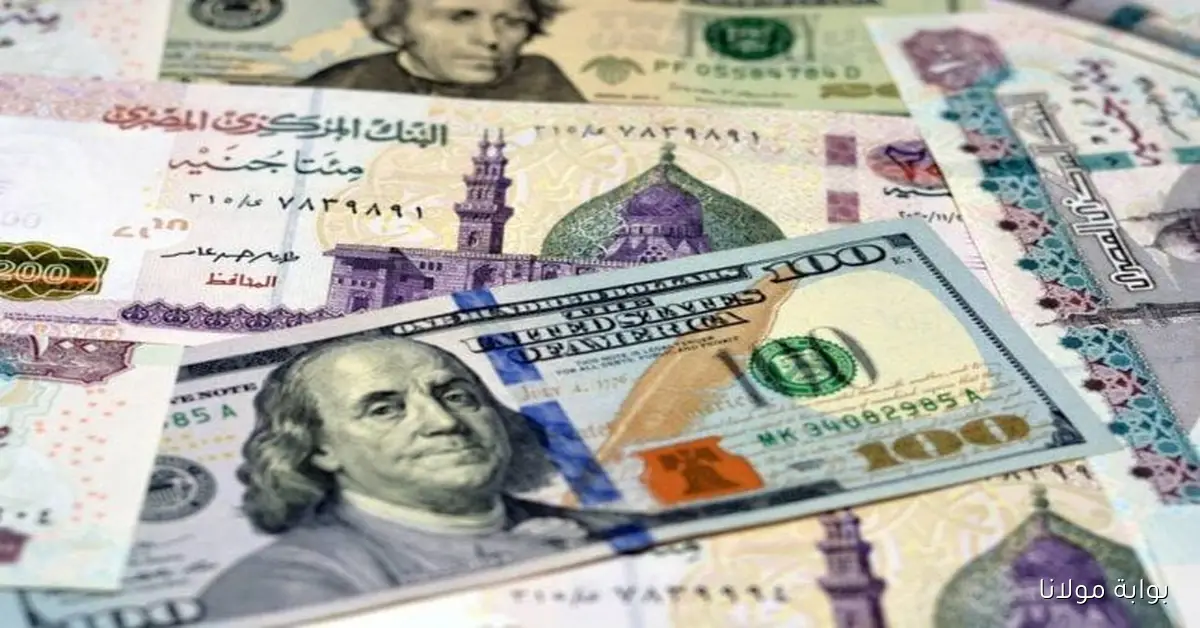 سعر الدولار مصر اليوم الثلاثاء 7 أكتوبر 2025 آخر المستجدات