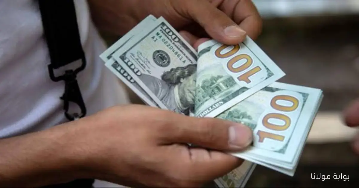 هبوط جنوني في سعر الدولار اليوم في مصر 7 أكتوبر 2025
