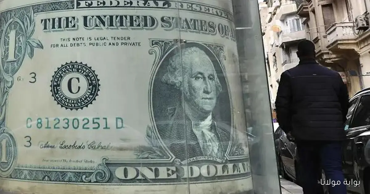 هبوط الأخضر إعرف سعر الدولار اليوم في مصر الأربعاء 1 أكتوبر 2025