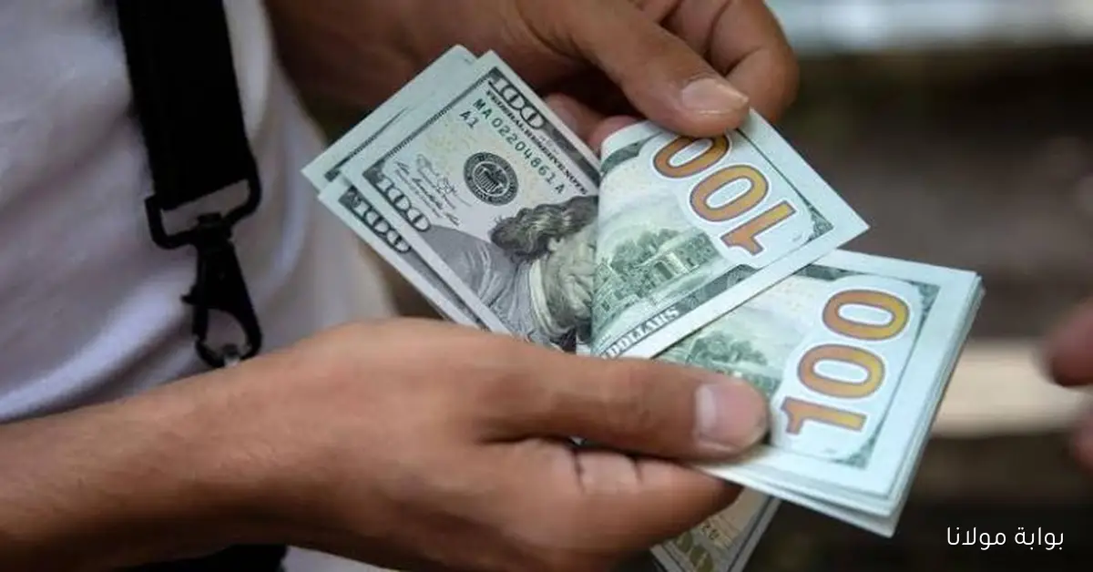 أدنى مستوي له.. إعرف سعر الدولار اليوم في مصر الإثنين 6 أكتوبر 2025
