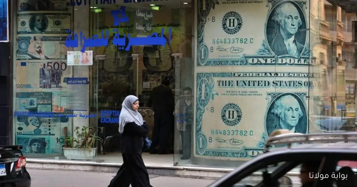 أعلى سعر للدولار اليوم في مصر الجمعة 3 أكتوبر 2025 مع تراجع الأخضر
