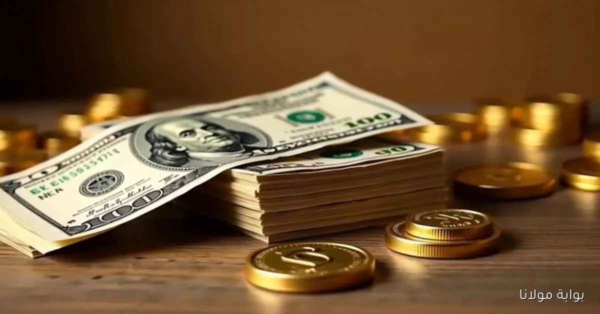 استقرار سعر الدولار مقابل الجنيه المصري اليوم 11 أكتوبر 2025