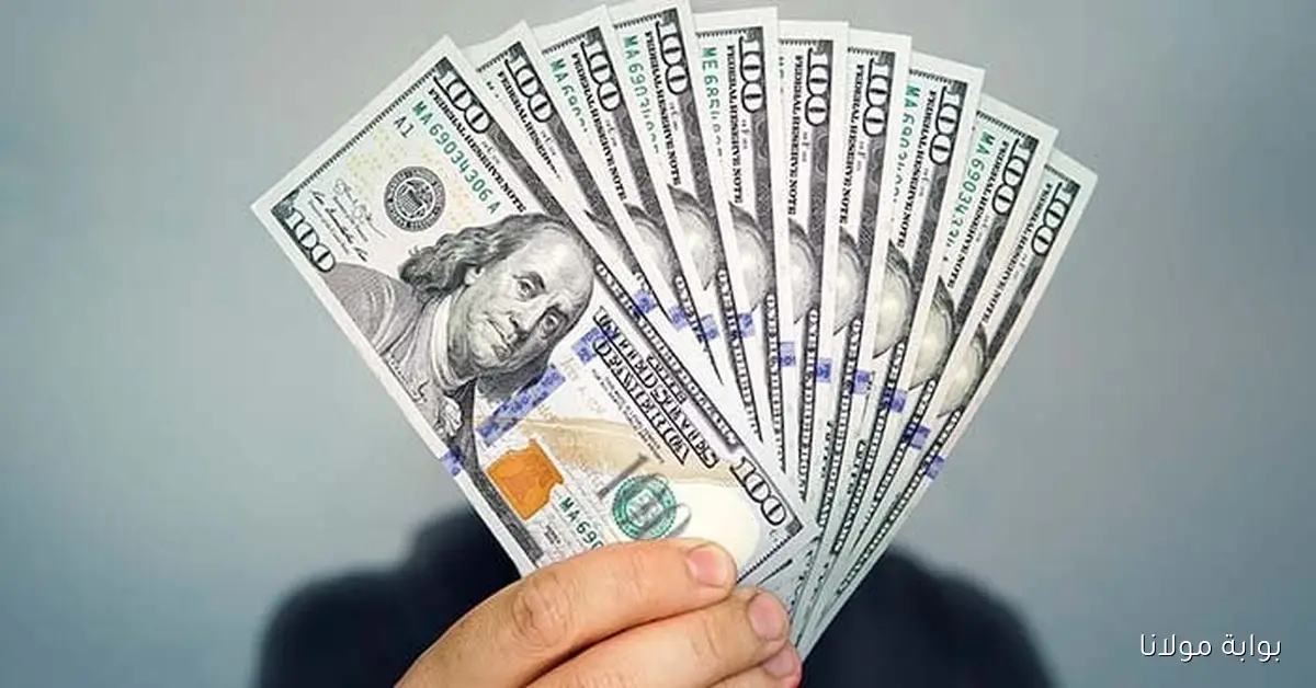 سعر الدولار اليوم مصر مقابل الجنيه في آخر دقائق اليوم الجمعة
